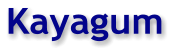 Kayagum