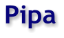 Pipa